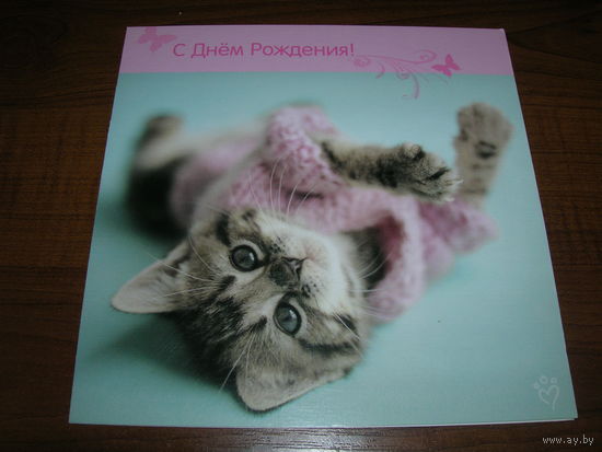 С Днем рождения Котенок Рэчел Хэйл 2011 год Двойная подписана