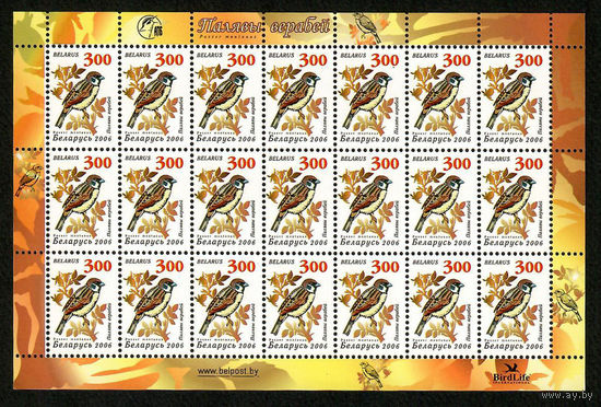 Беларусь. 2006. Стандарт. Воробей полевой (300р)  мелованная бумага, без заказа  лист 7х3