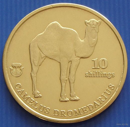Биафра. "Провинция Нигерии" 10 шиллингов 2021 год "Одногорбый верблюд" UNUSUAL
