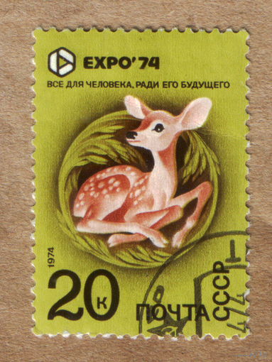 Марка СССР 1974 EXPO-74