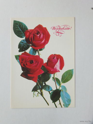 Костенко цветы 1977 10х15  см