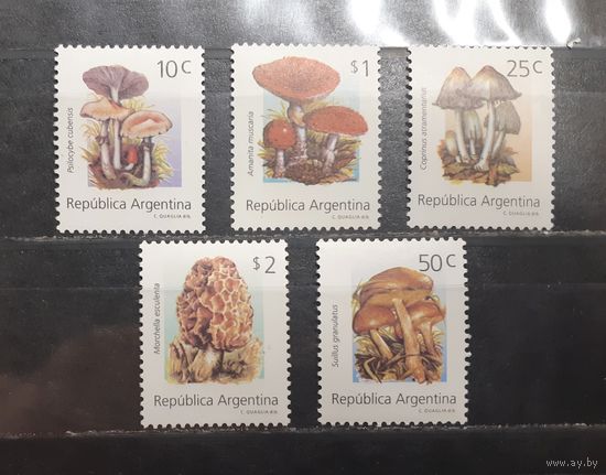 Аргентина. Флора. Грибы (995)