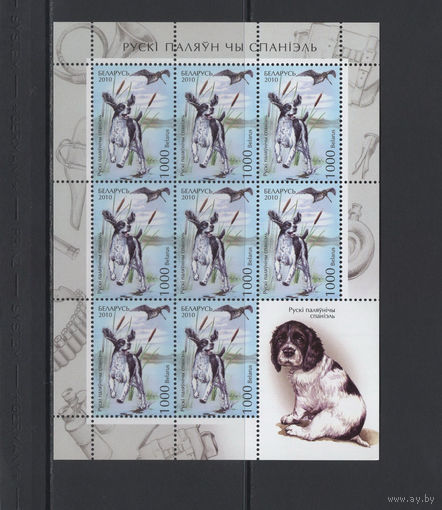 Фауна собаки Беларусь 2010 Малый лист коллекционных марок "Русский охотничий спаниель"