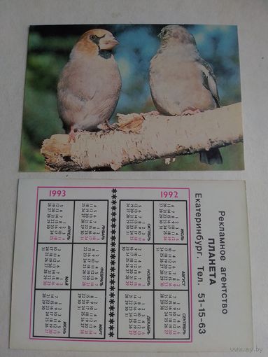 Карманный календарик. Птицы. 1992 год