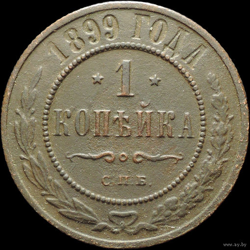 1 копейка 1899, Рельеф! С 1 Рубля!