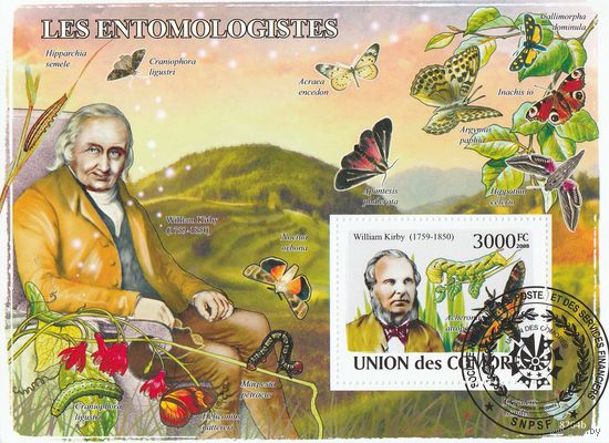 Коморы /энтомология/ 2008г