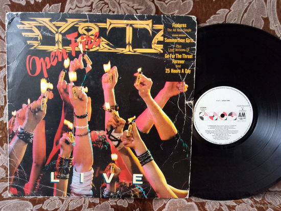 Виниловая пластинка Y&T. Open fire