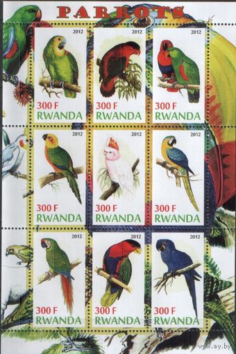 ПОПУГАЙЧИКИ,МЛ **