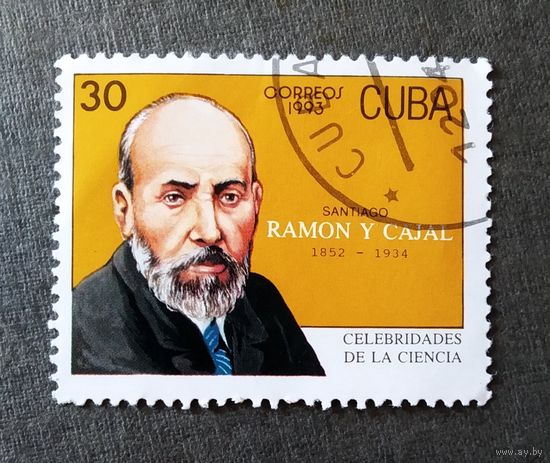 Марка Куба 1993 Рамон Кахаль