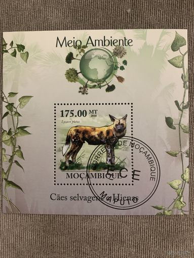 Мозамбик 2010. Гиены. Блок