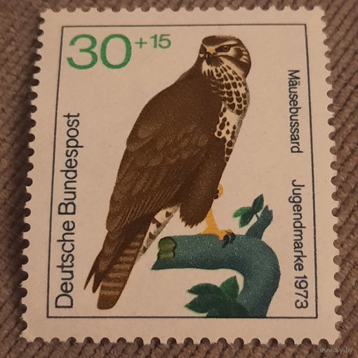 ФРГ 1973. Хищные птицы.