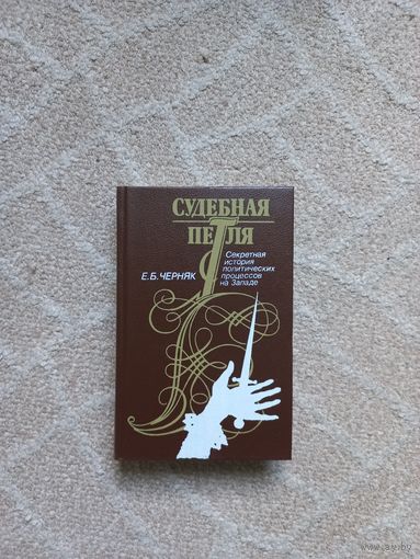 Черняк Е.Б. Судебная петля.