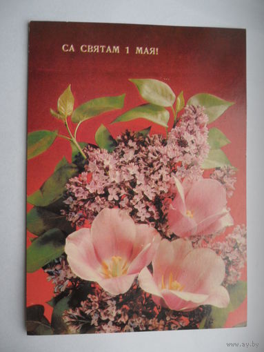 Са святам 1 Мая! Дергилева 1990 г.