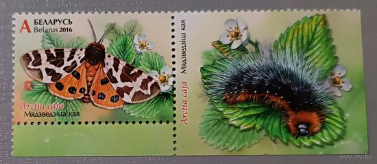 Бабочка с купоном. Беларусь, 2016