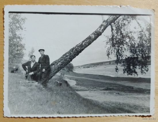 Фото в коллекцию