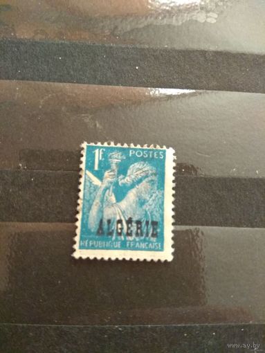 Французская колония Алжир искусство (1-11)