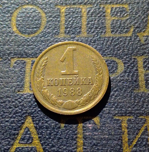 1 копейка 1988 СССР #47