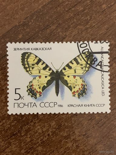 СССР 1986. Зеринтия Кавказская. Марка из серии
