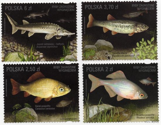 Польша 2016. Рыбы. 4 марки 4861-64