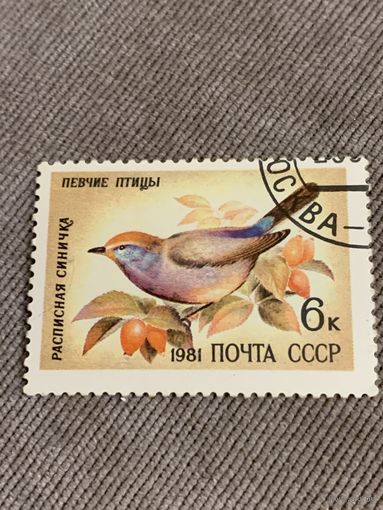 СССР 1981. Расписная синичка. Марка из серии