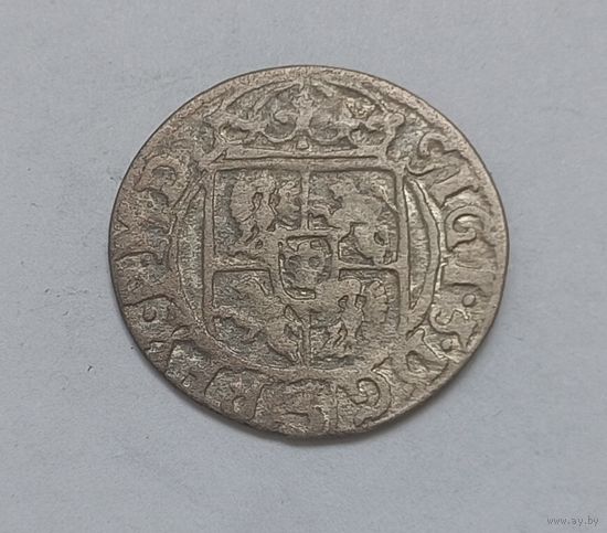 Россып Паўтаракаў!, 1626, Быдгощ. Z 6 / Z 4. Пулкозиц в открытой обводке