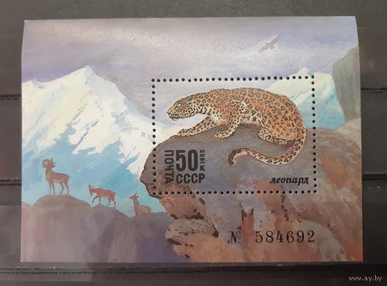 СССР. 1985 год. Фауна. Леопард (блок)