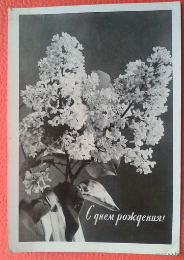 С днем рождения.  1960 г. Фотооткрытка