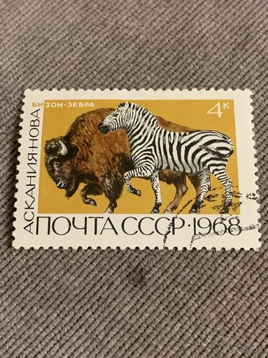 СССР 1968. Бизон. Зебра. Марка из серии