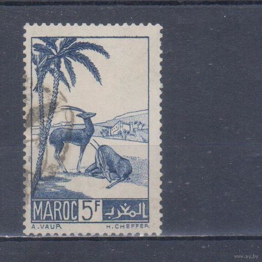 [1519] Французские колонии. Марокко 1939. Фауна.Антилопы.5 фр. Гашеная марка.