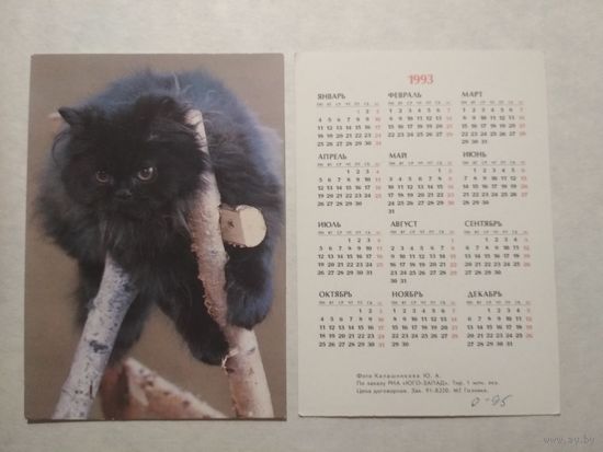 Карманный календарик. Котик. 1993 год