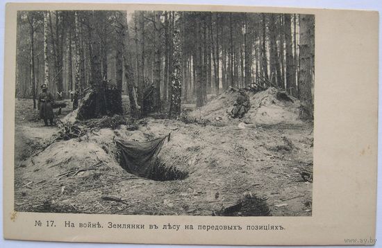 Изд. Адамович. Город Минск. На войне. Землянки в лесу на передовых позициях.