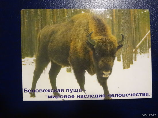 Календарик 2003 г.  Беловежская пуща - мировое наследие человечества.