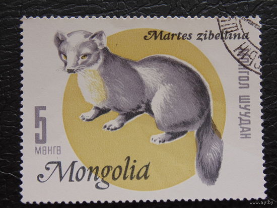 Монголия 1966г. Фауна.