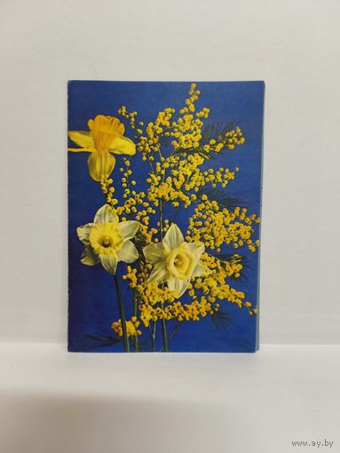 Двойная почтовая открытка для телеграмм, 1972г., б/у. Серия В-21. Фото Г. Костенко. 14