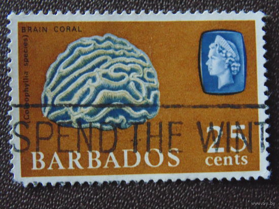 Барбадос 1965 г . Морская фауна.
