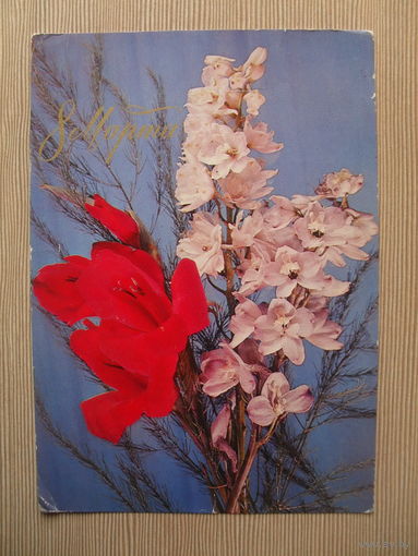 ПОДПИСАННАЯ ОТКРЫТКА СССР. 1975 ГОД. "8 МАРТА". фото И. ДЕРГИЛЕВА.
