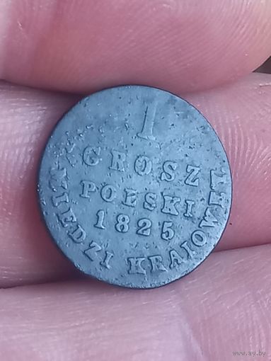 1 грош 1825 г., с 1 рубля , без мц