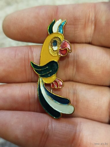 Попугай,тяжёлый металл