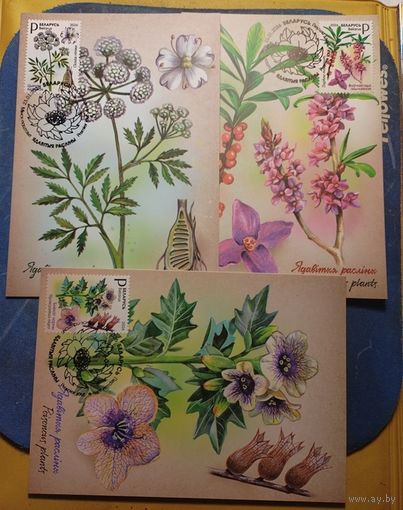 Картмаксимум 3 шт. Флора. Цветы. Ядовитые растения. 2026 год. Беларусь