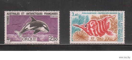 Французские Антарктические Территории-1993(Мих.304-305) , ** , Морская Фауна,Рыбы
