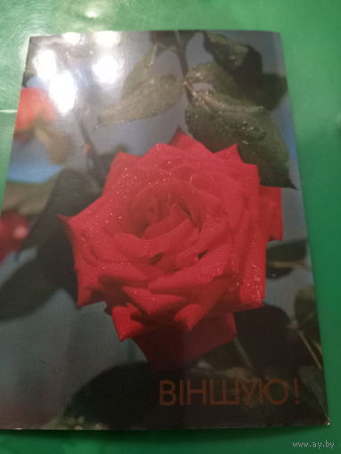 Лихтарович Вiншую!