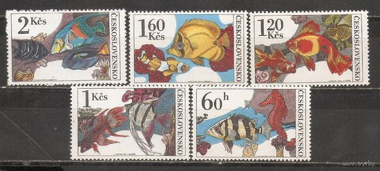 ФФ1 Чехословакия 1975 Рыбы