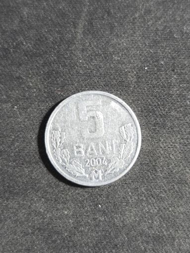 Молдавия 5 бань 2004
