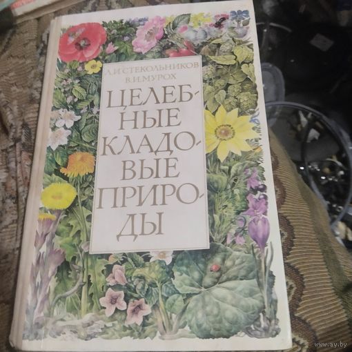 Стекольников.Мурох.  Целебные кладовые природы.