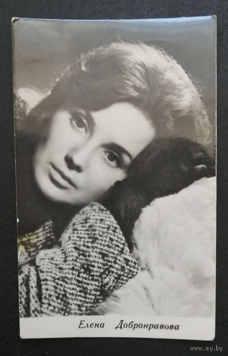 Елена Добронравова. Фотографии артиcтов #0048-Ф01P24