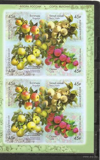 ФФ3 Россия 2019 Яблоки самоклейки