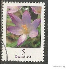 Германия. Цветы. Крокус. 2005г. Mi#2480.