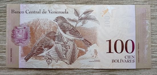 Werty71 Венесуэла 100 боливаров 2013 UNC банкнота