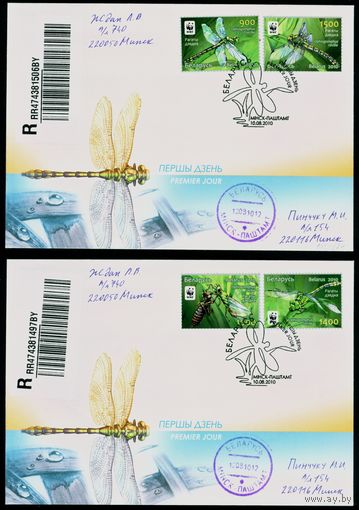 Беларусь 2010 год Конверт первого дня Рогатый дедка. WWF