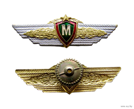 Знак Классность Пограничник Мастер Офицерский Состав ФПС РФ